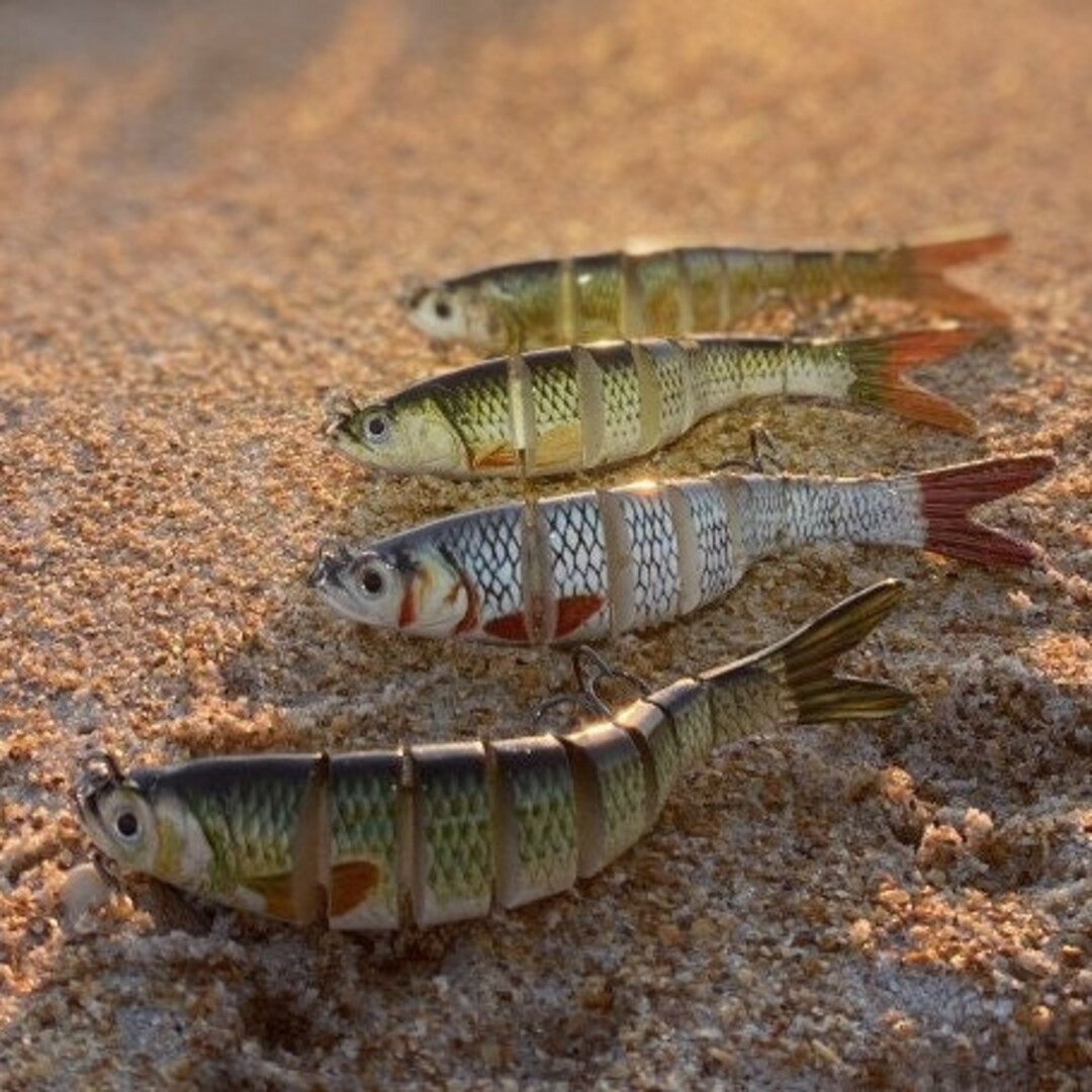 Custom Life-like Multi Jointed Freshwater and Saltwater Lure - Etsy | Etsy (US)