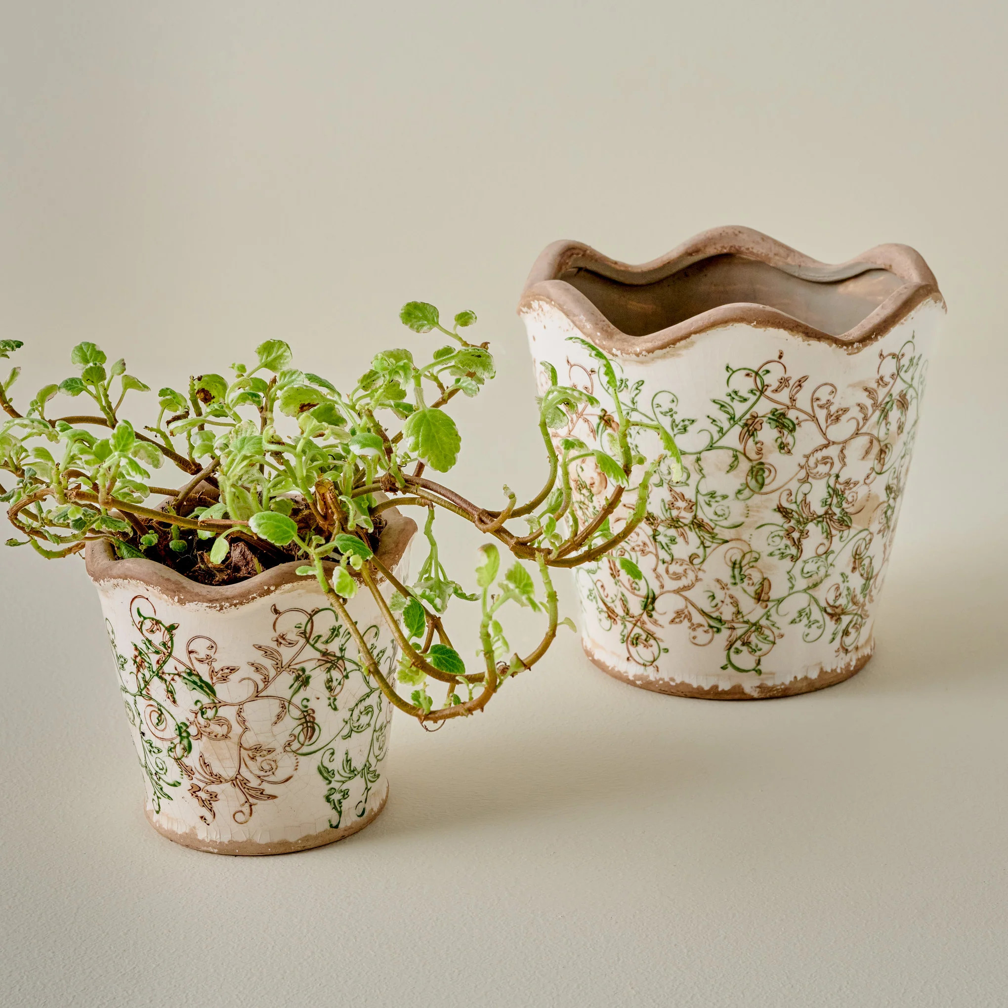 Green Scalloped Distressed Planter | Magnolia