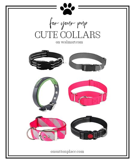 Dress your dog in style with the great selection of collars available on walmart.com! #walmartpartner @walmart

#LTKfindsunder50 #LTKfamily