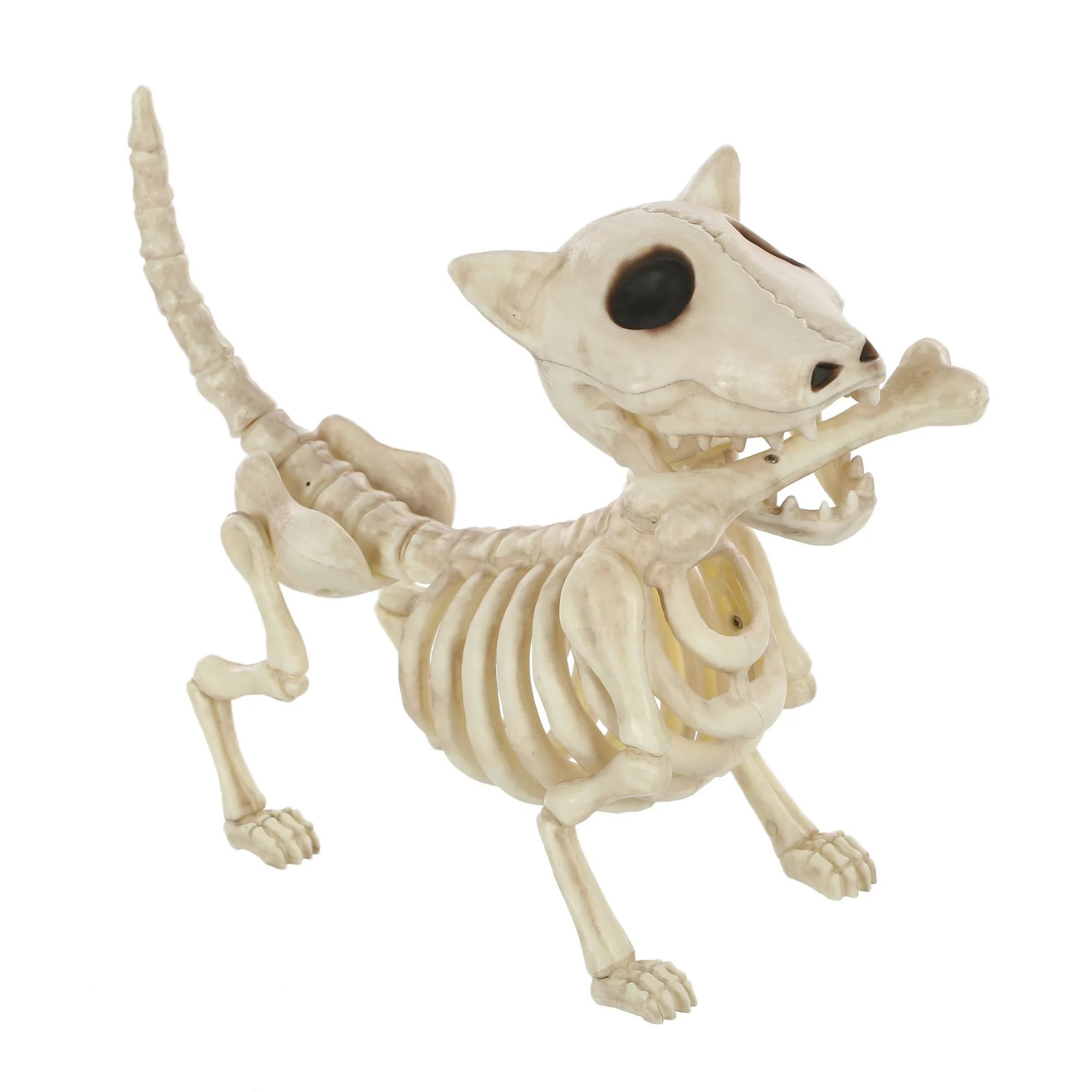 Halloween Faux Dog Skeleton Decoration, 9 in, by Way To Celebrate | Walmart (US)