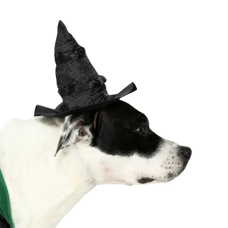 Vibrant Life Halloween Bad Witch Costume for Dogs, Green and Black, Medium | Walmart (US)