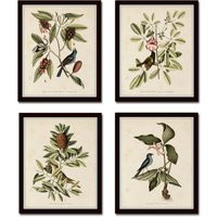 Bird & Botanical Print Set No. 5, Set, Vintage Prints, Art, Wall Home Decor, Prints | Etsy (US)