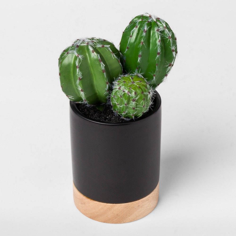 Faux Cactus Plant in Black Pot Small - Project 62 | Target