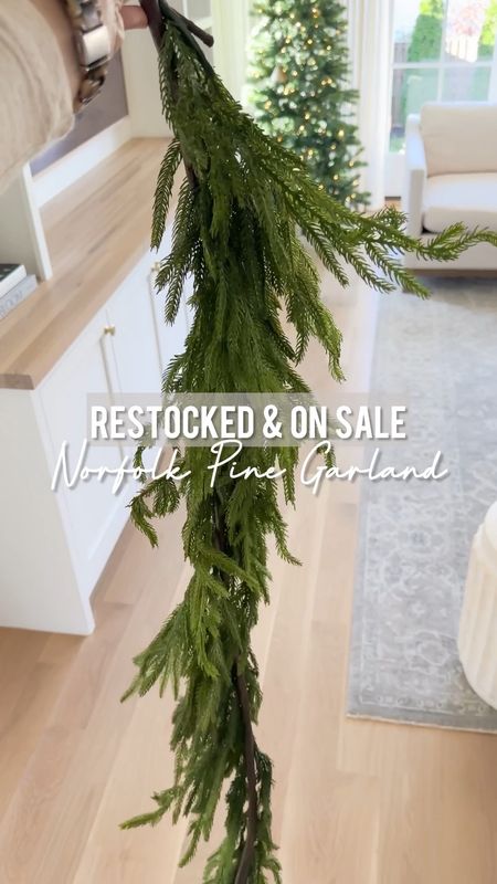 Norfolk Pine Garland on sale! Shop my fireplace mantle staircase and bedroom mirror Christmas decor

#LTKVideo #LTKCyberWeek #LTKSeasonal