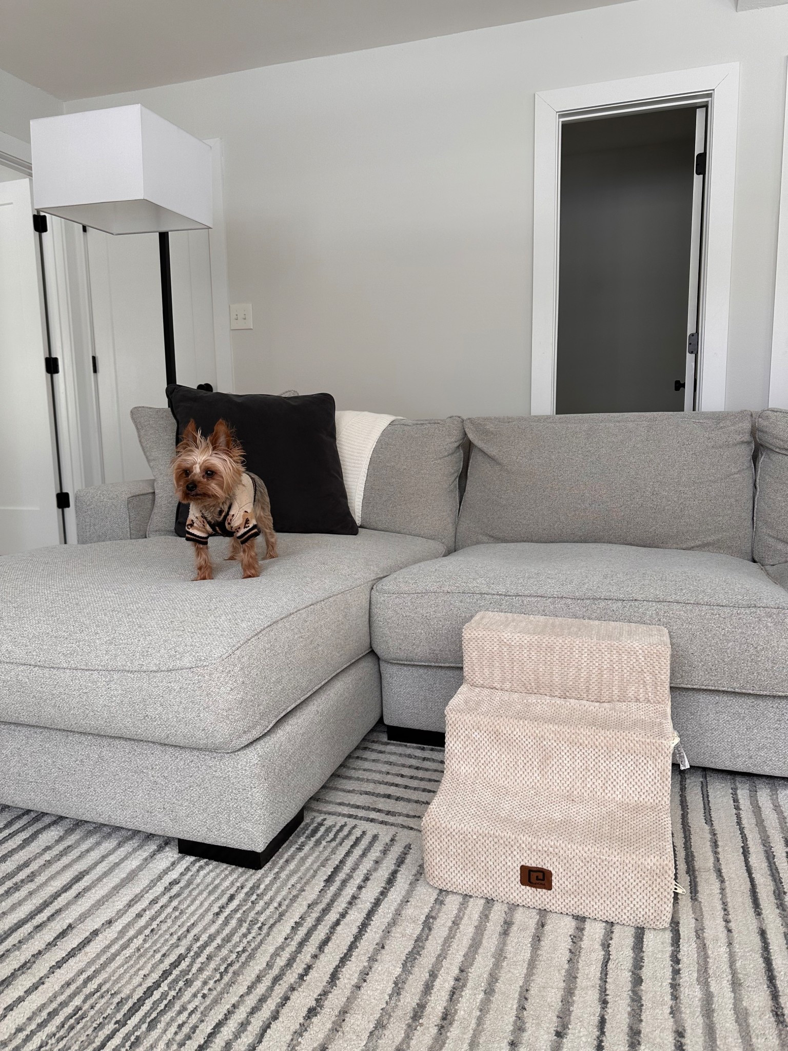 These Amazon dog stairs have been a game changer! My little pup can’t jump on the couch or the bed so we got these for both and he loves them! Makes our lives easier and we don’t have to pick him up every 5 seconds lol 

Dog stairs, dog steps

#LTKHome #LTKdayinmylife #LTKSaleAlert