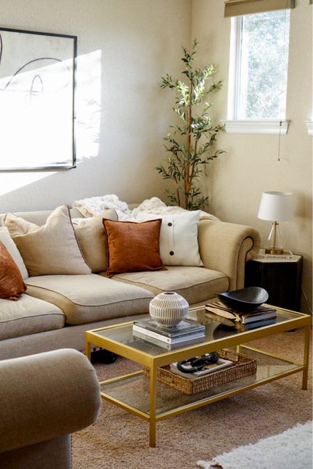 Coffee table decor / transitional fall living room decor 

#LTKFind #LTKhome #LTKstyletip