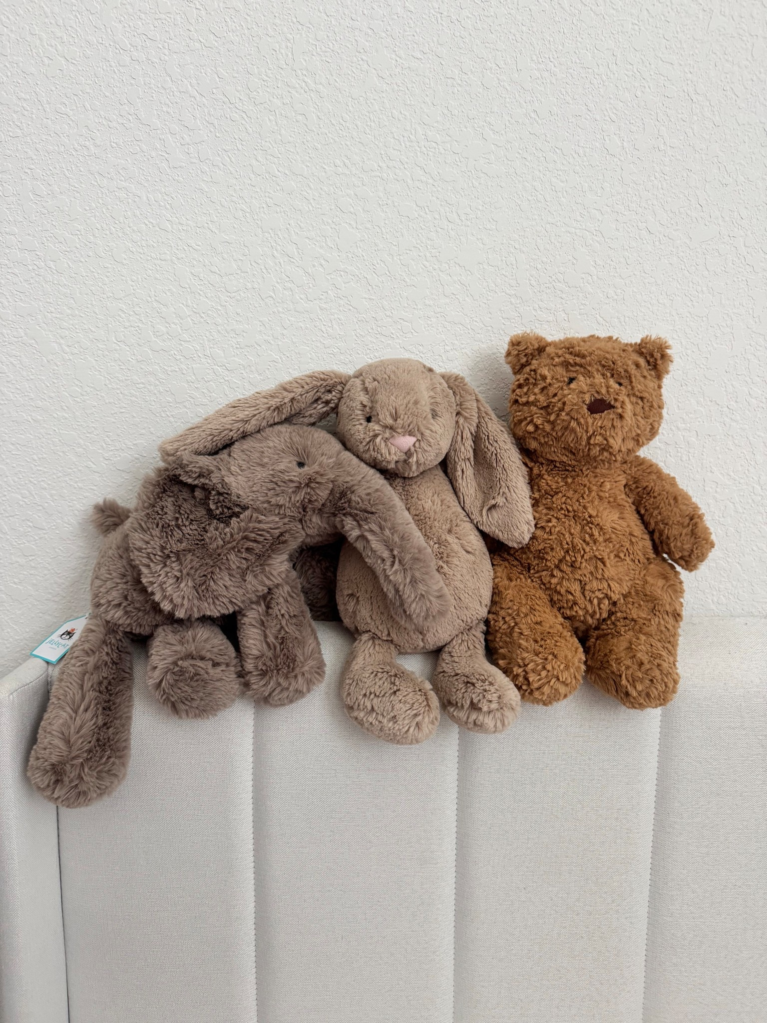 Jelly Cats
#jellycat #stuffedanimal #cute #kids #teens #trending #viral #jellycats #bear #bunny 

#LTKOver40 #LTKKids #LTKSaleAlert