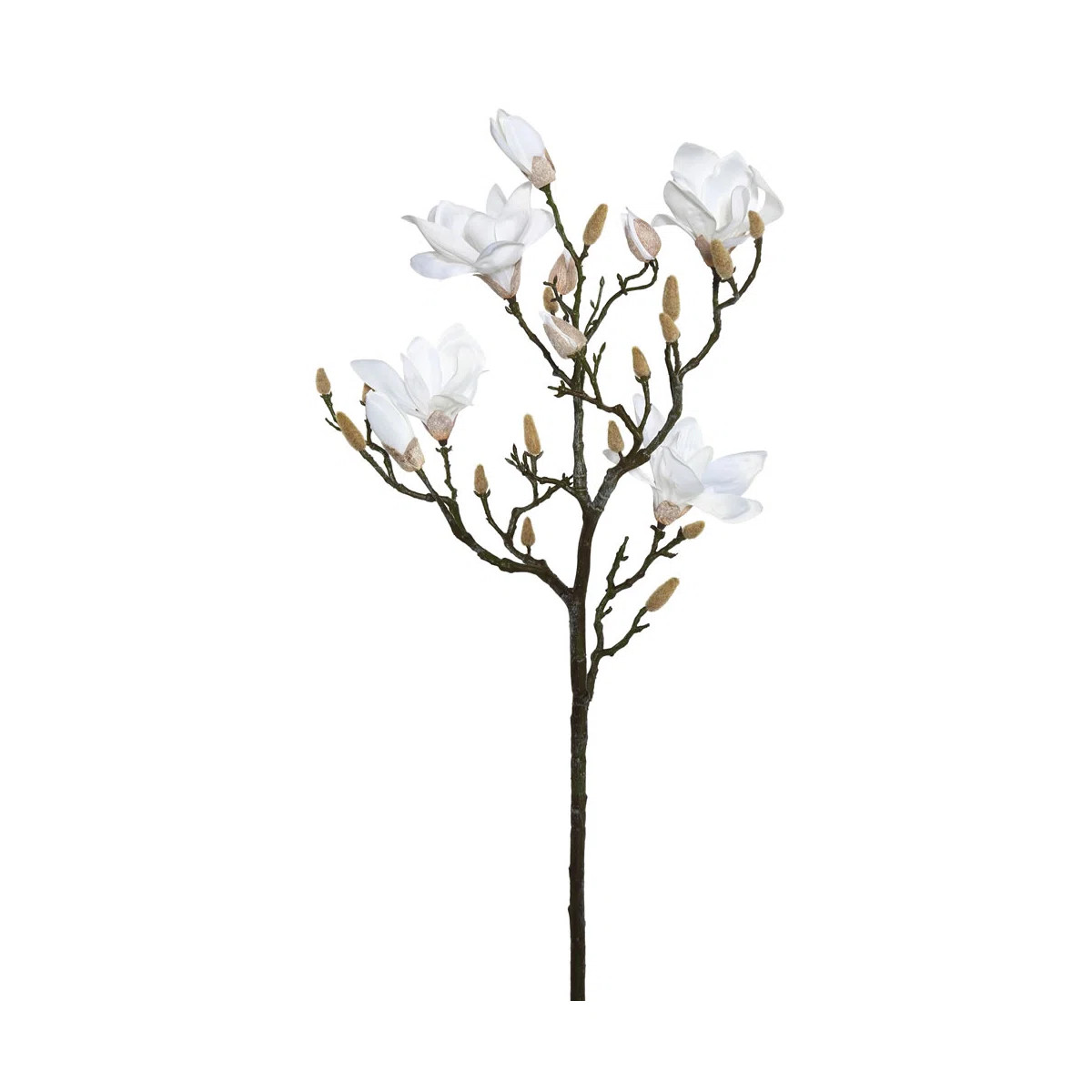 Magnolia Arrangement | Wayfair North America
