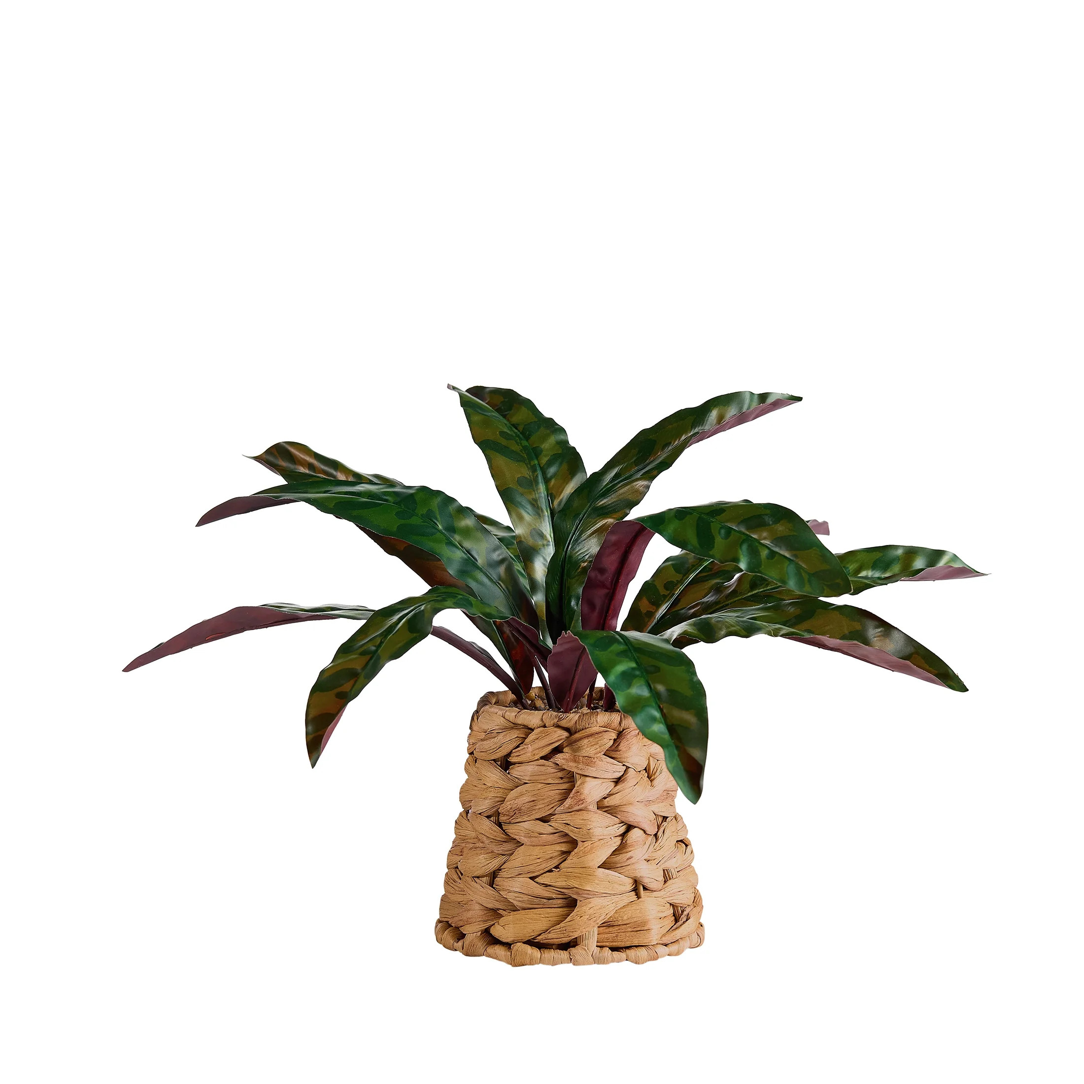 Better Homes & Gardens Artificial Rattlesnake Plant in Rattan Vase, 13" | Walmart (US)