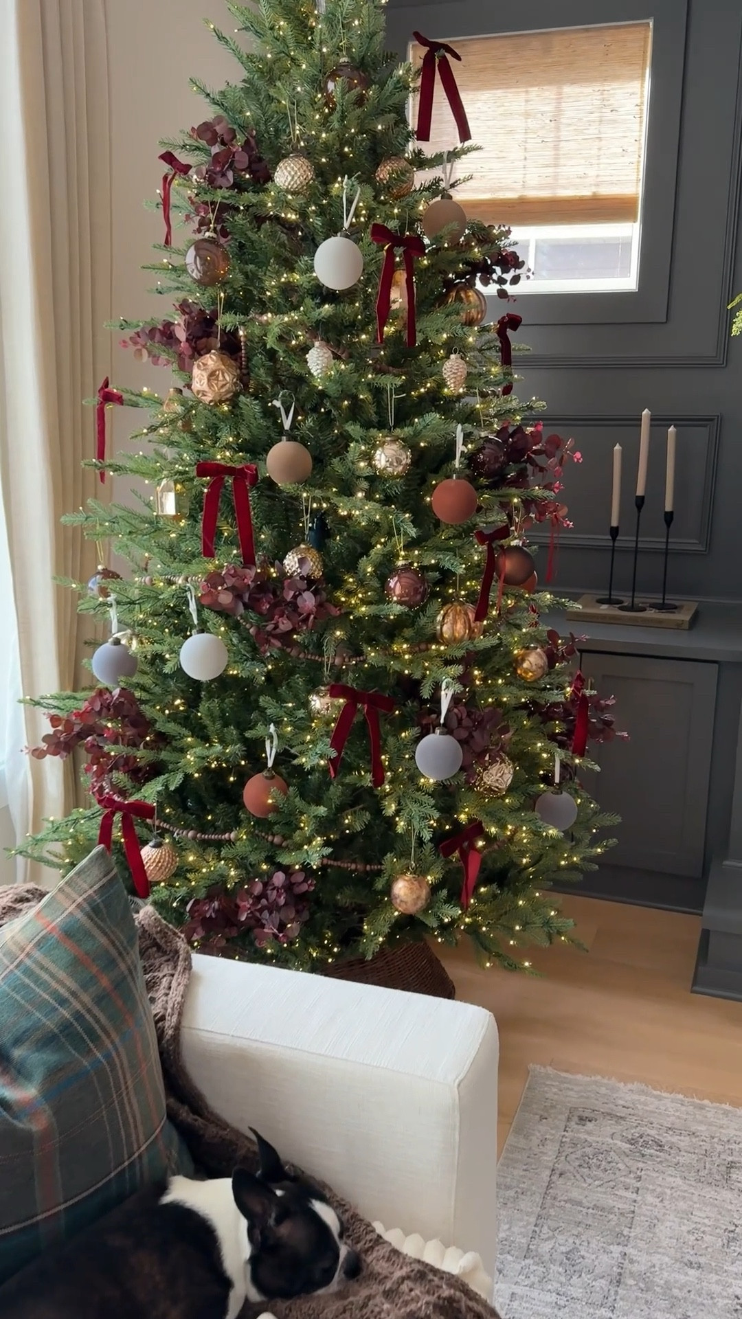 Added some burgundy touches to our tree today ♥️🎄 I think I may replace the white ornament ribbon with something that blends in better! 


Ralph Lauren Christmas / twinkle tree / burgundy bows / Christmas trimming 

#LTKHoliday #LTKHome #LTKSaleAlert