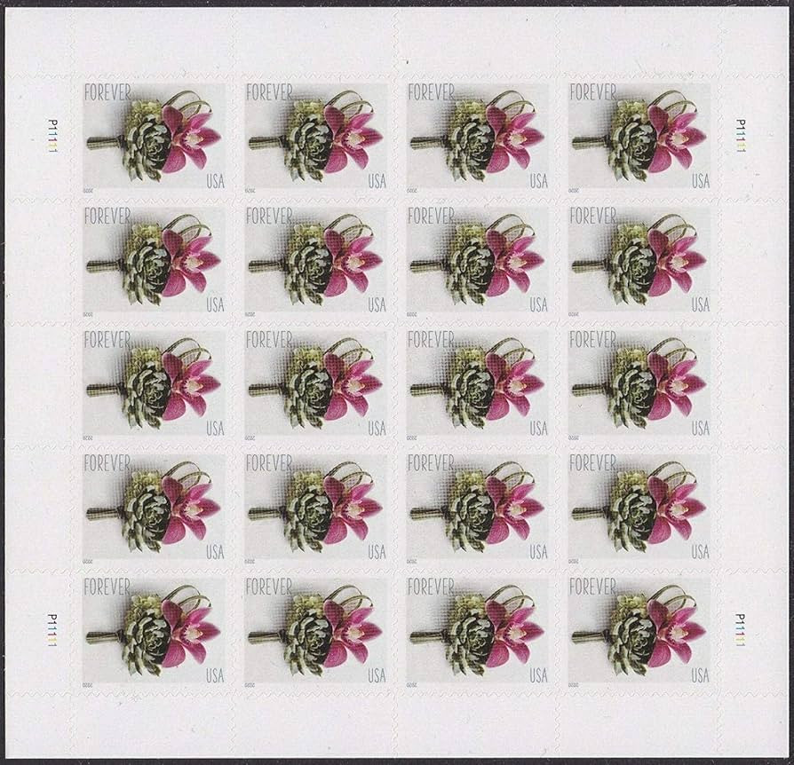 Contemporary Boutonniere Sheet of 20 Forever Postage Wedding Stamps Scott 5457 | Amazon (US)