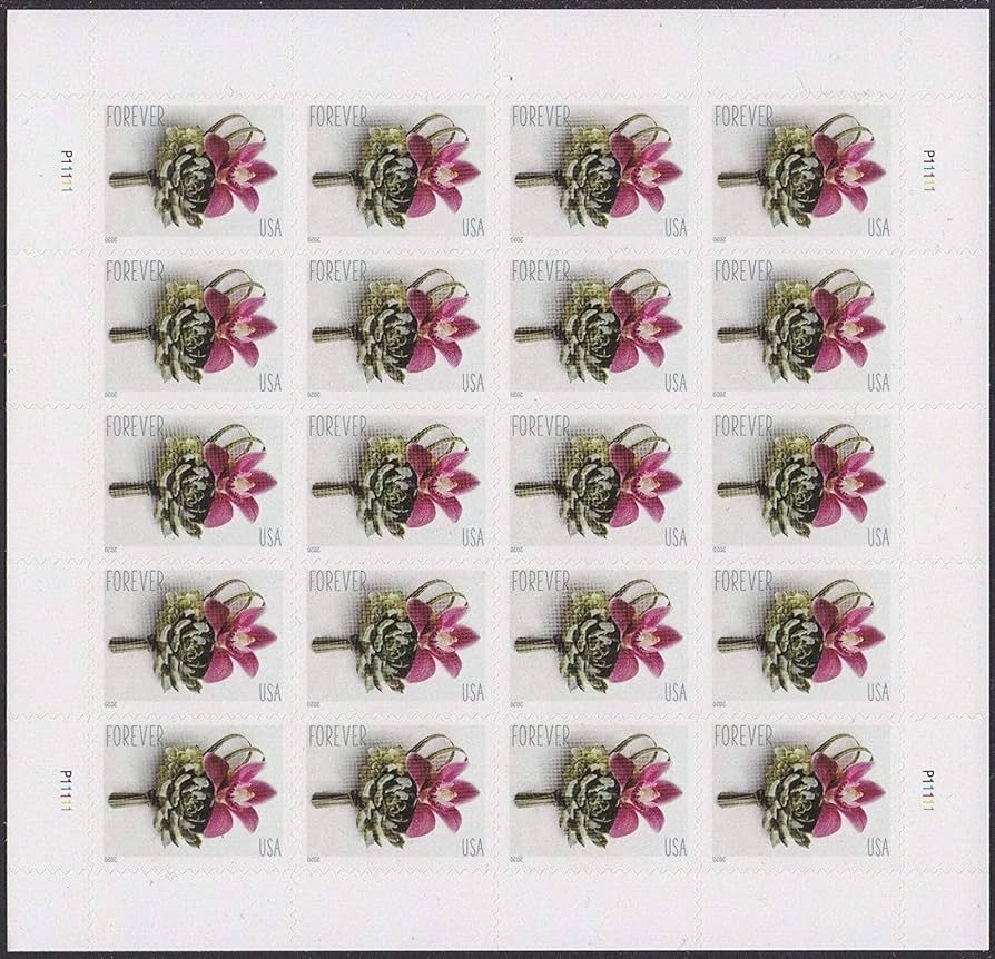 Contemporary Boutonniere Sheet of 20 Forever Postage Wedding Stamps Scott 5457 | Amazon (US)