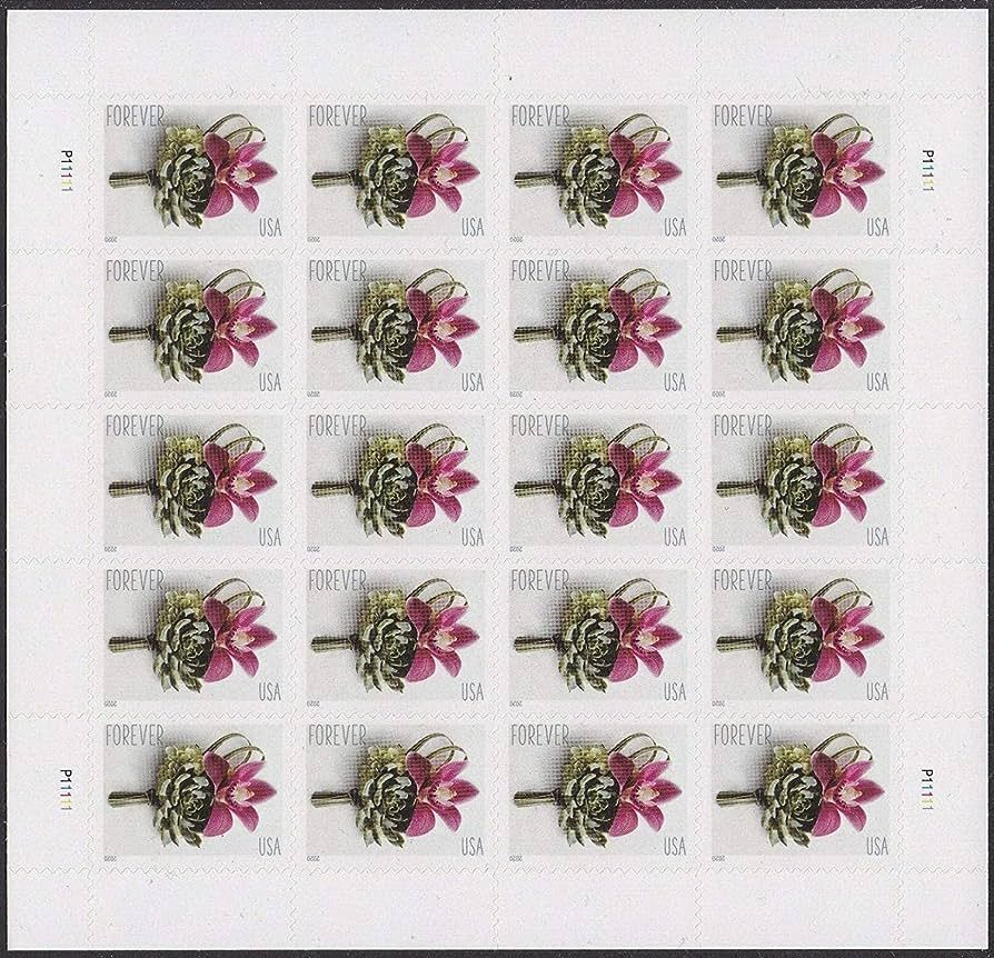Contemporary Boutonniere Sheet of 20 Forever Postage Wedding Stamps Scott 5457 | Amazon (US)