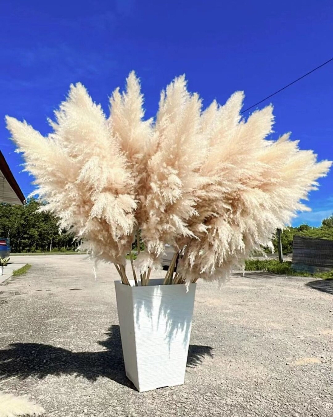 10pcs TALL PAMPAS GRASS 3-4ft | Grand Sale | Dry Florals For Home Decor | Boho Decor | Wedding Ar... | Etsy (US)