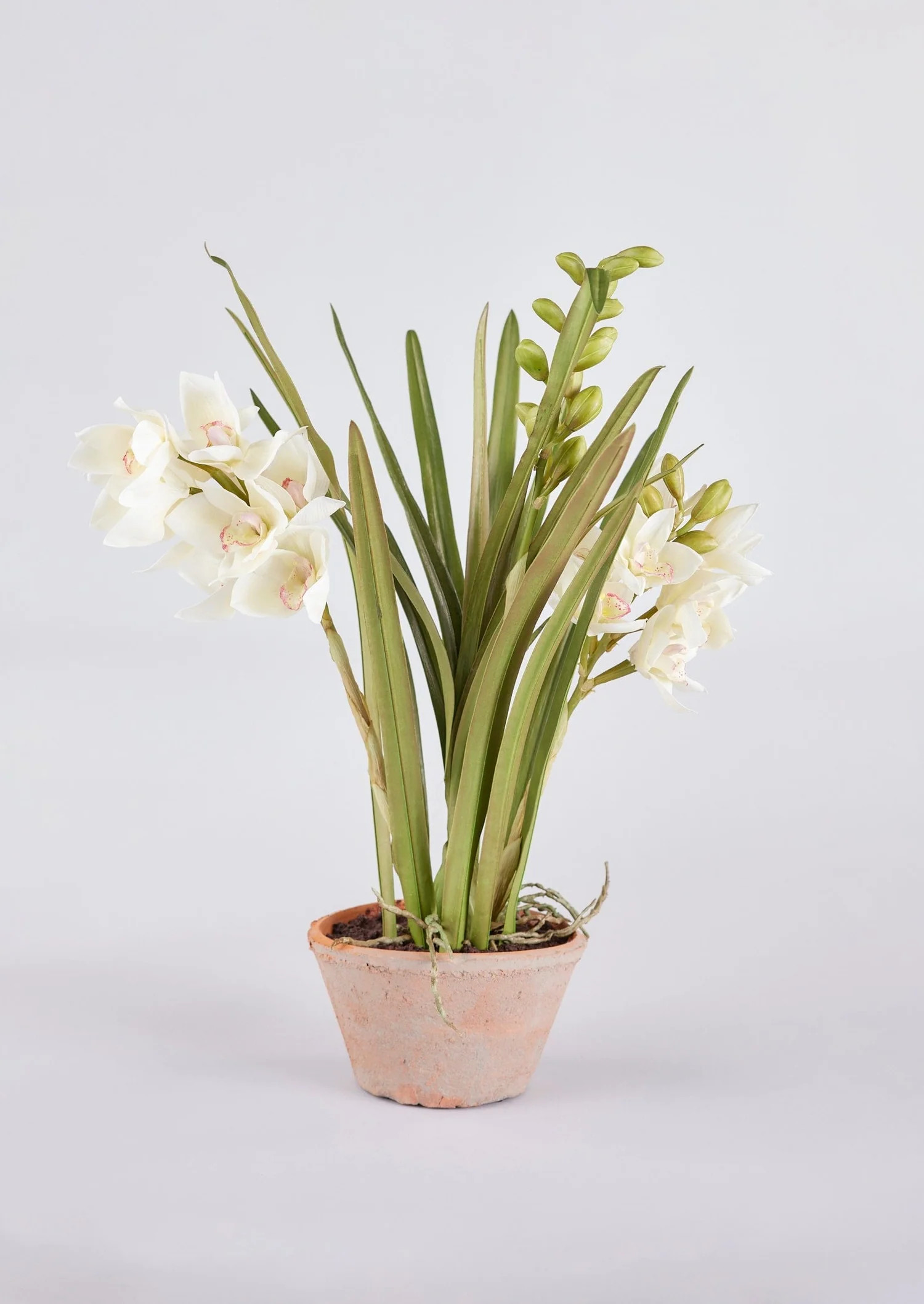 Faux Flower Arrangements at Afloral.com | Orchid Plant in Ceramic Pot | Afloral