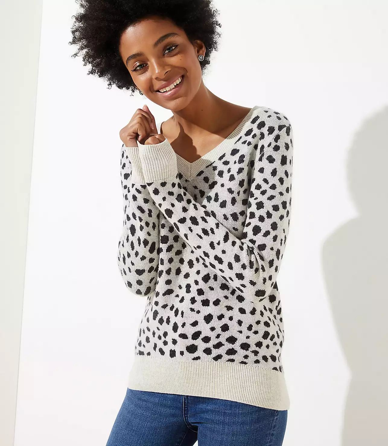 Leopard Print V-Neck Sweater | LOFT | LOFT