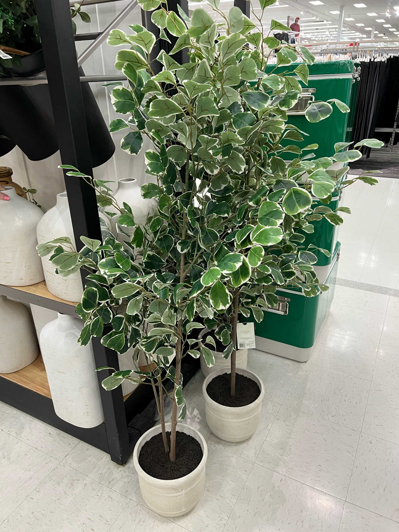 Target home decor

Faux tree!
Faux plant
Indoor tree
Ficus tree
Olive tree

Neutral lamp
Bedroom decor
Lamp decor
Black lamp
Tapered lamp shade
Bedroom ideas
Bedroom inspo
Neutral home 

Wreath 
Front door decor
Porch decor
Neutral home
Spring decor
Summer decor
Threshold
Studio McGee
Target home
Neutral home
Organic modern home
McGee and co
Magnolia home
Hearth and hand 

#LTKstyletip #LTKsale #LTKhome