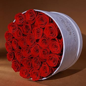 27 Flowers in a Luxury Suede Box, Birthday Gifts for Women, Preserved Flowers, Mothers Day Roses ... | Amazon (US)