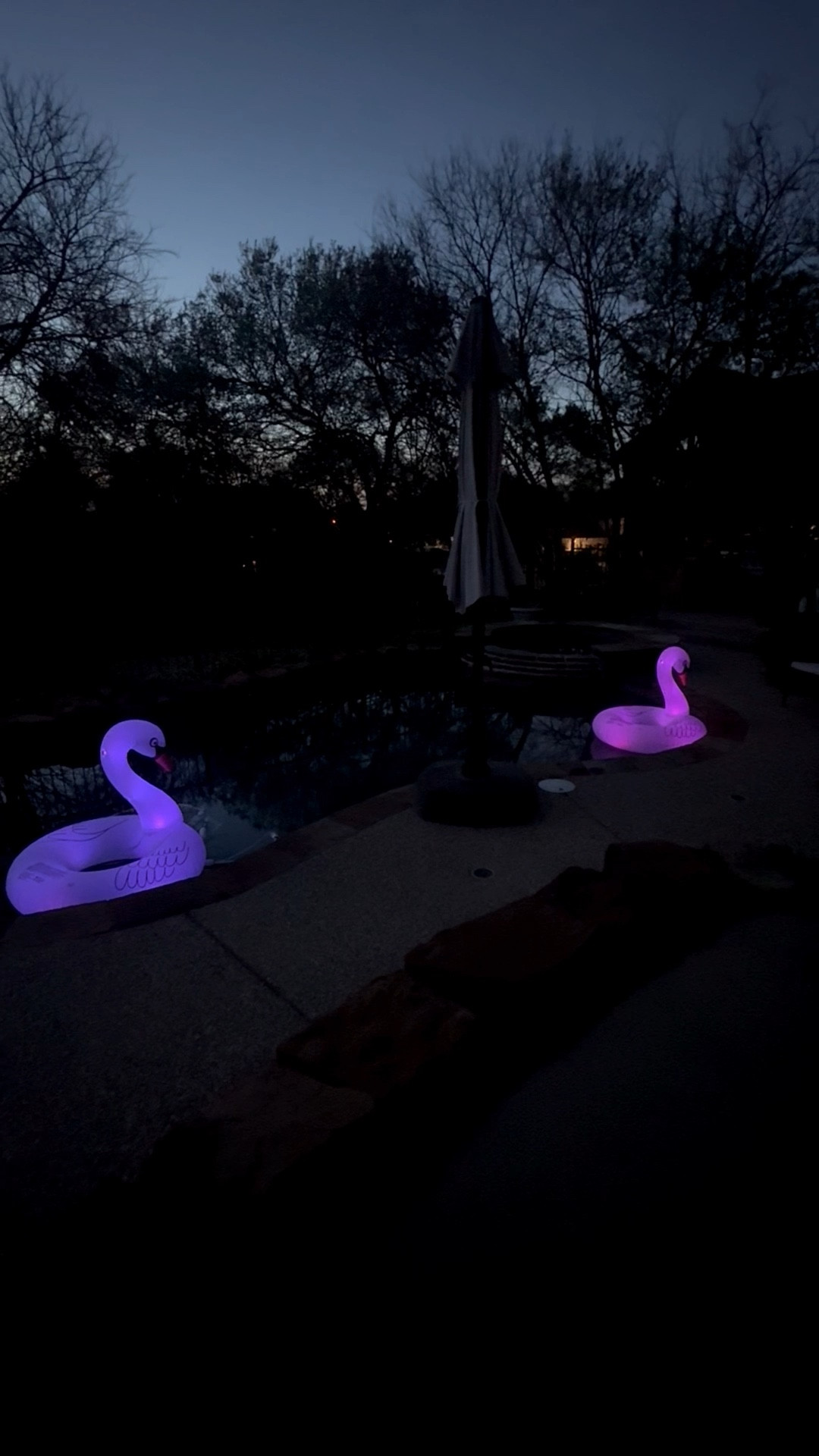 Just got these Solar powered, LED color changing, large adult swan pool floats from Amazon! They are so pretty to watch at night. They are so unique and awesome! ✨

#LTKHome #LTKSeasonal