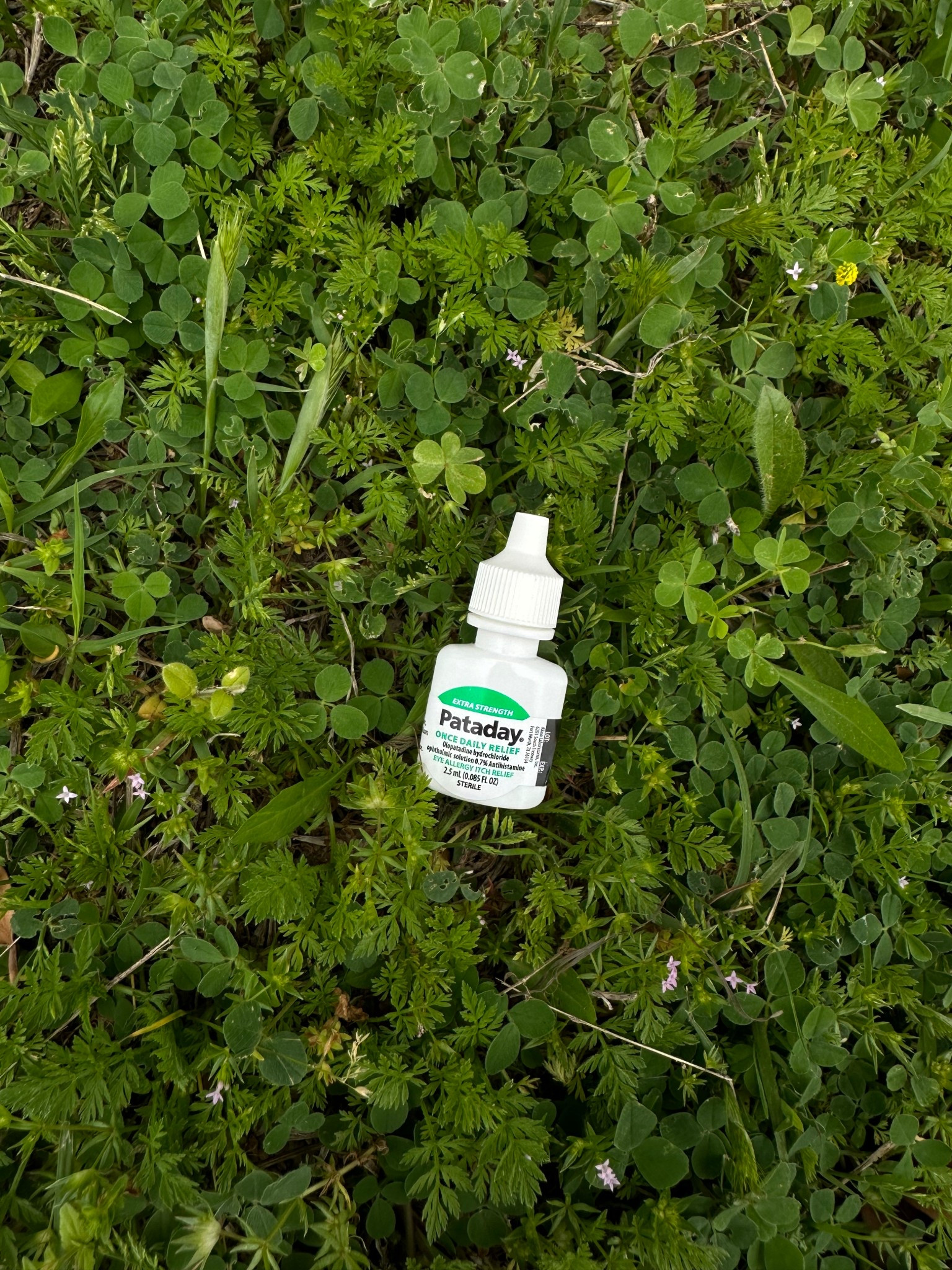 #ad Enjoying sweet outdoor time this spring has been such a dream! Keeping my itchy allergy eyes at bay has definitely been a challenge, and let me tell you, pataday ‘s Extra Strength eye drops have worked wonders for 24 hour relief with just one drop a day which I absolutely love! I'm definitely a big fan of spending time outdoors, running through open fields & picking up all the spring flowers, and I’m forever grateful for these drops for keeping my eyes without itchy allergies through every sweet detail of this season! Here’s to a season without rubbing eyes, love and enjoying every bit of nature!🍃 You can grab these at your local Target!🫶🏼 #allergies #BringItOn #Pataday #Target #TargetPartner  
