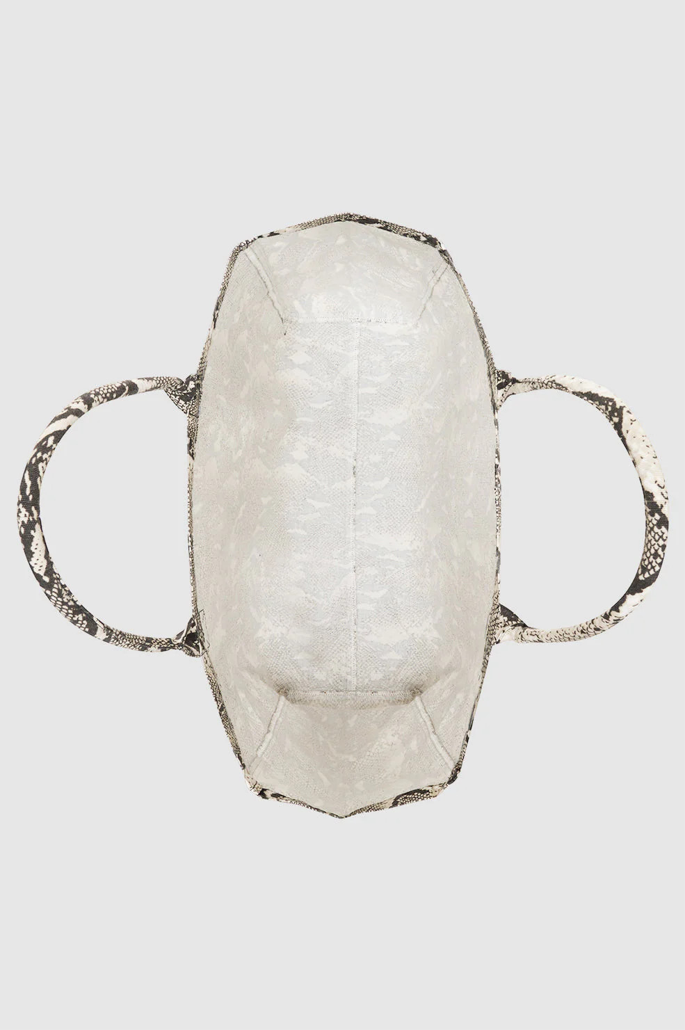 Leo Canvas Tote | Anine Bing