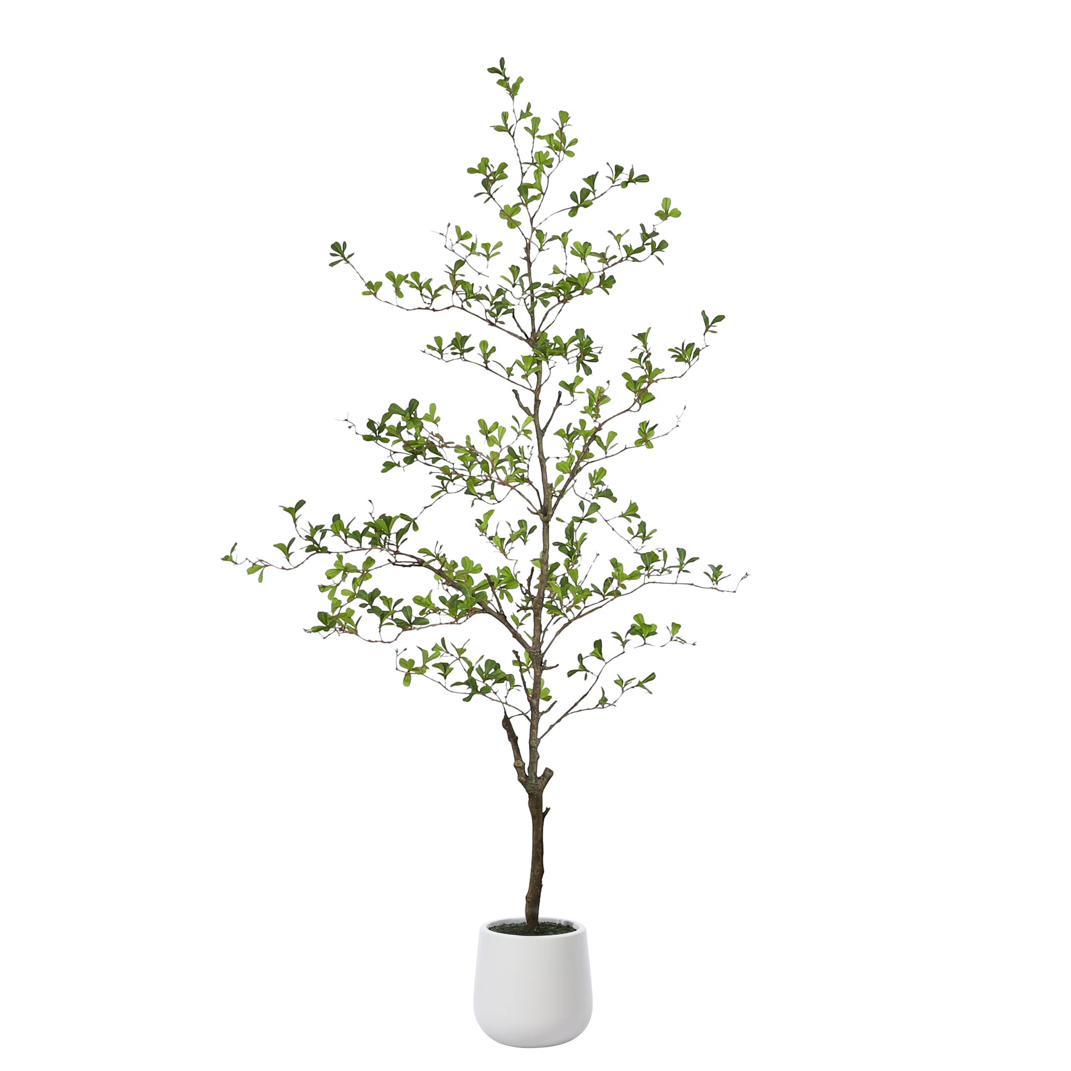George Artificial Black Olive Tree in White Pot, Tall Faux Shady Lady Tree for Indoor Home Decor | Joss & Main