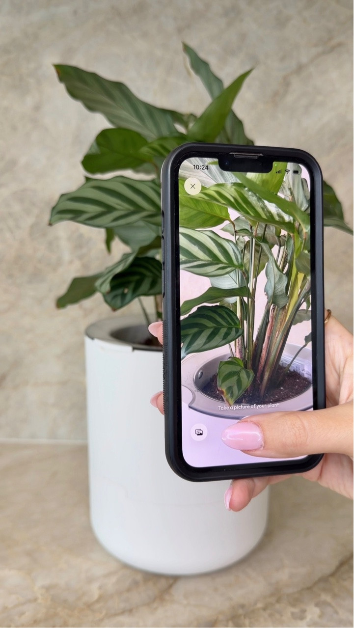 Self Watering Planter!
The plant pot that does the work for you. It monitors your plant’s needs and can automatically water it from the app.

#LtkHome #smartplanter #homegadgets #plantlovers