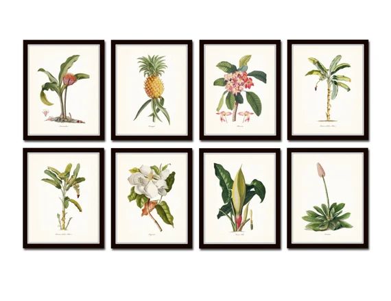 Botanical Print Set No.14 Tropical Botanical Prints Giclee | Etsy | Etsy (US)