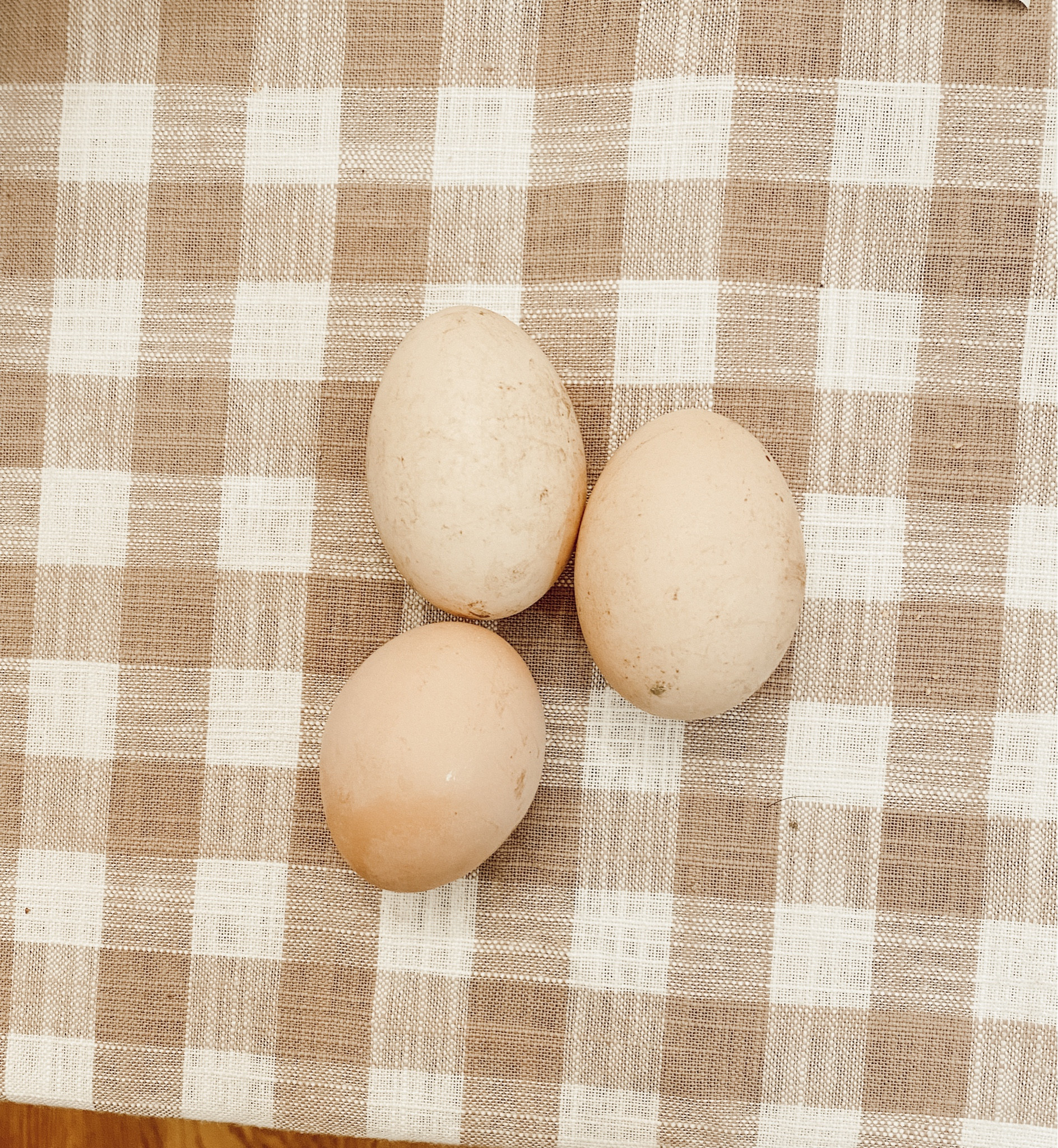 Been a long winter with no eggs from our chickens but we finally got some today! #Targetstyle #Target #Gingham #Chickens 

#LTKSeasonal #LTKunder50 #LTKhome
