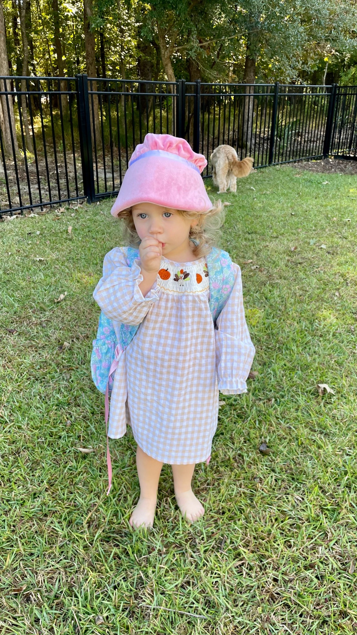 The perfect little girl’s Thanksgiving dress for under $20!

It is somewhat sheer so I put little shorts under. Linked those!

Eloise wanted to wear her baby sister’s Halloween Bo Peep hat 😂
