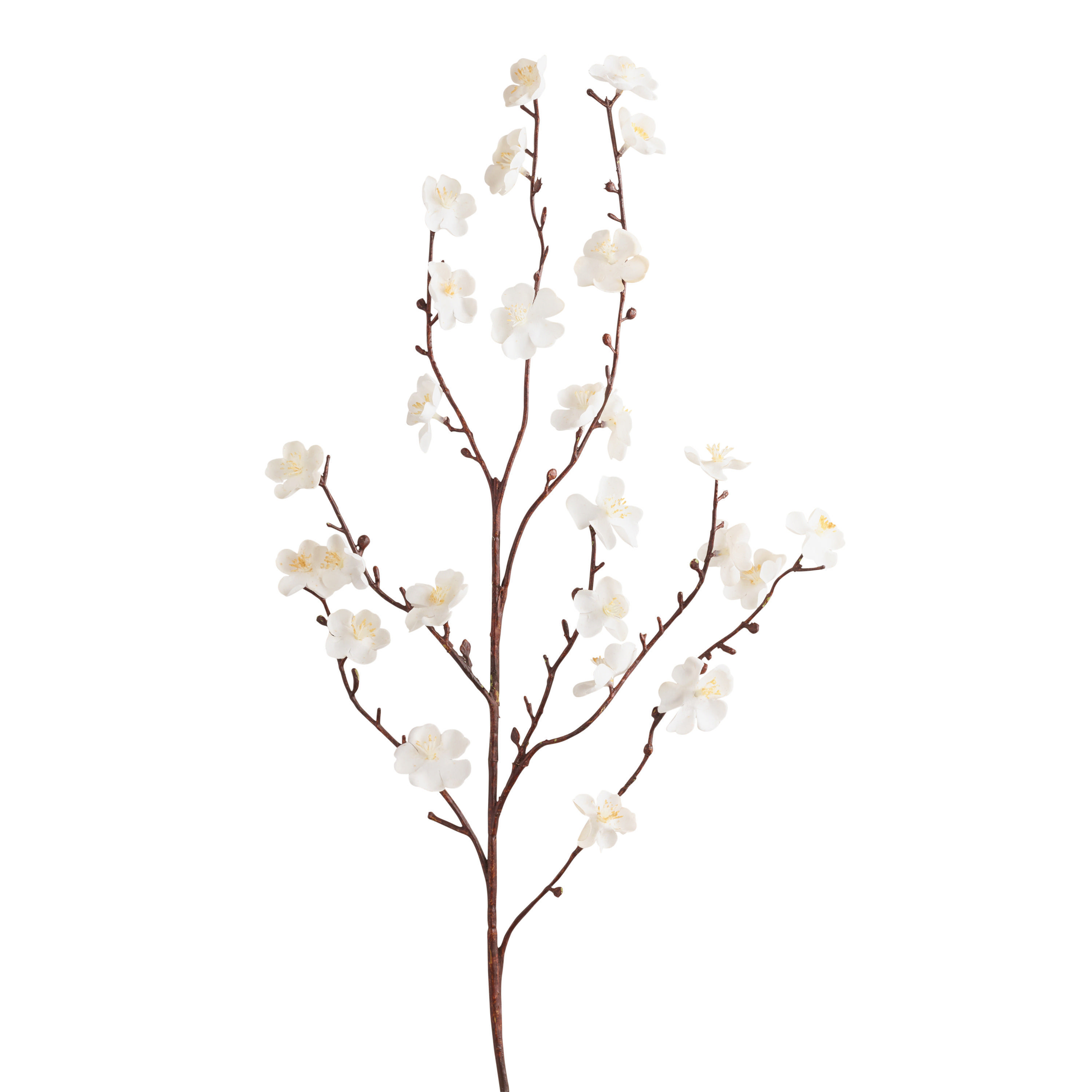 White Faux Velvet Plum Blossom Stems Set Of 2 - World Market | World Market