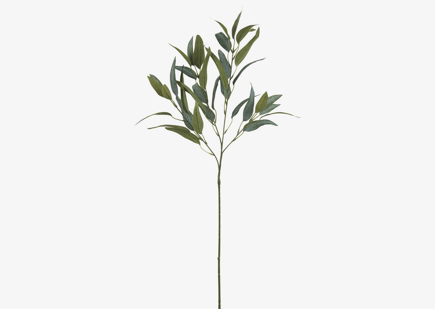 Letty Salix Willow Branch | Urban Barn