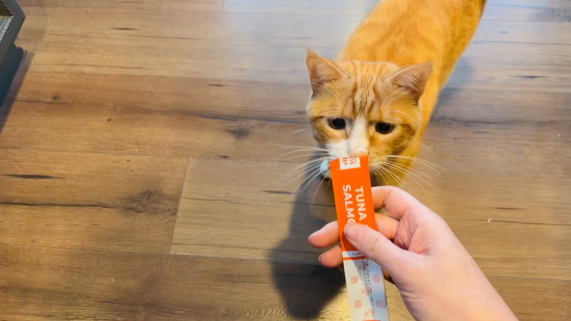 #ad This post contains affiliate links, which means I may earn a small commission if you make a purchase through my links.

These creamy lickable cat treats come in convenient squeeze tubes and are a fun way to treat your cat or add a little extra flavor to their meals. The tuna mix variety is easy to serve straight from the tube, and they can also be used as a topper for regular cat food. Great for rewarding pets, helping with hydration, or just giving your cat a little extra attention at treat time.
 

 #LTKmomlife #LTKHome #LTKKids