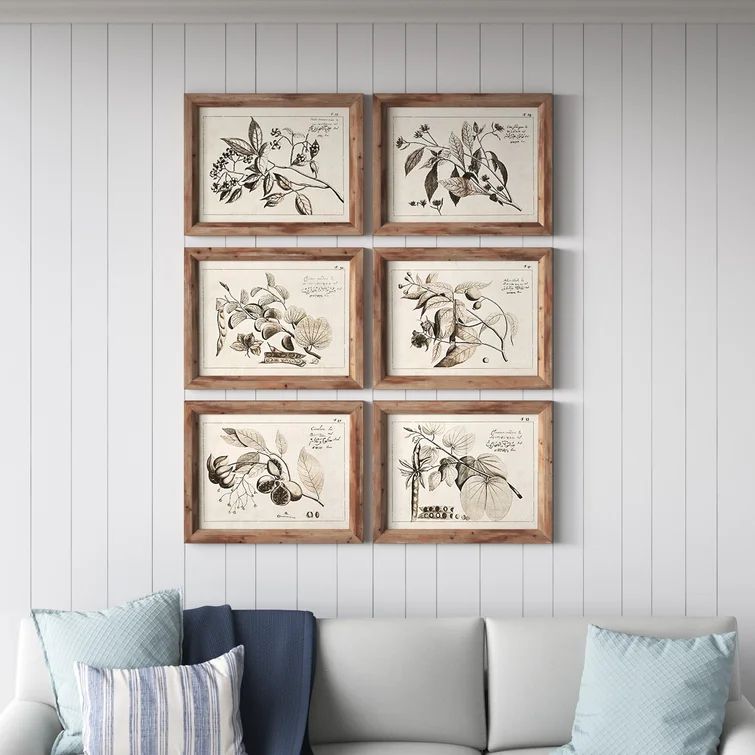Maplewood Fruit Bearing Branch - 6 Piece Picture Frame Graphic Art | Wayfair North America