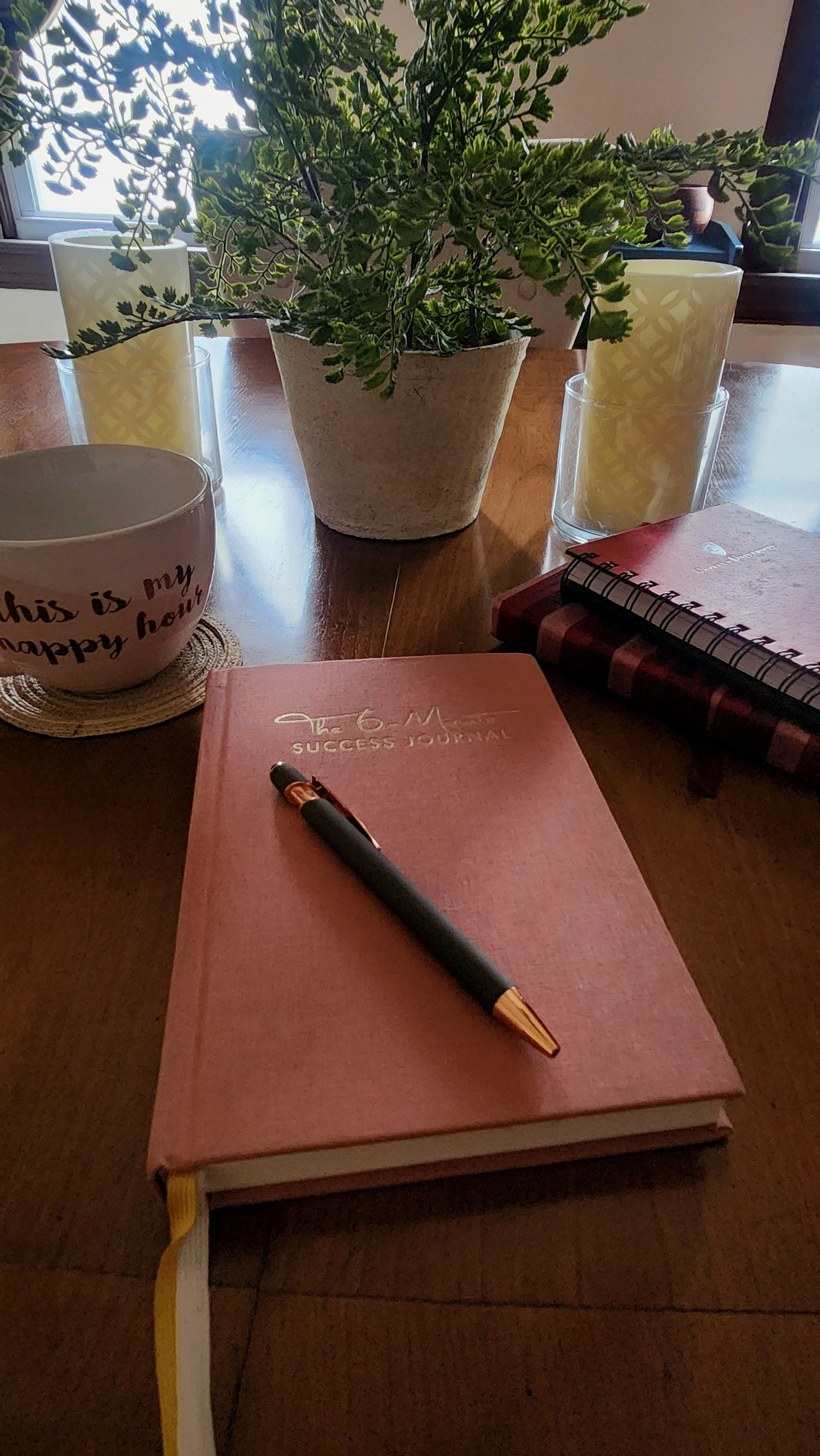 A few of my favourite journals, notebooks, diaries

#LTKdayinmylife #LTKmorningroutine #LTKselfcare