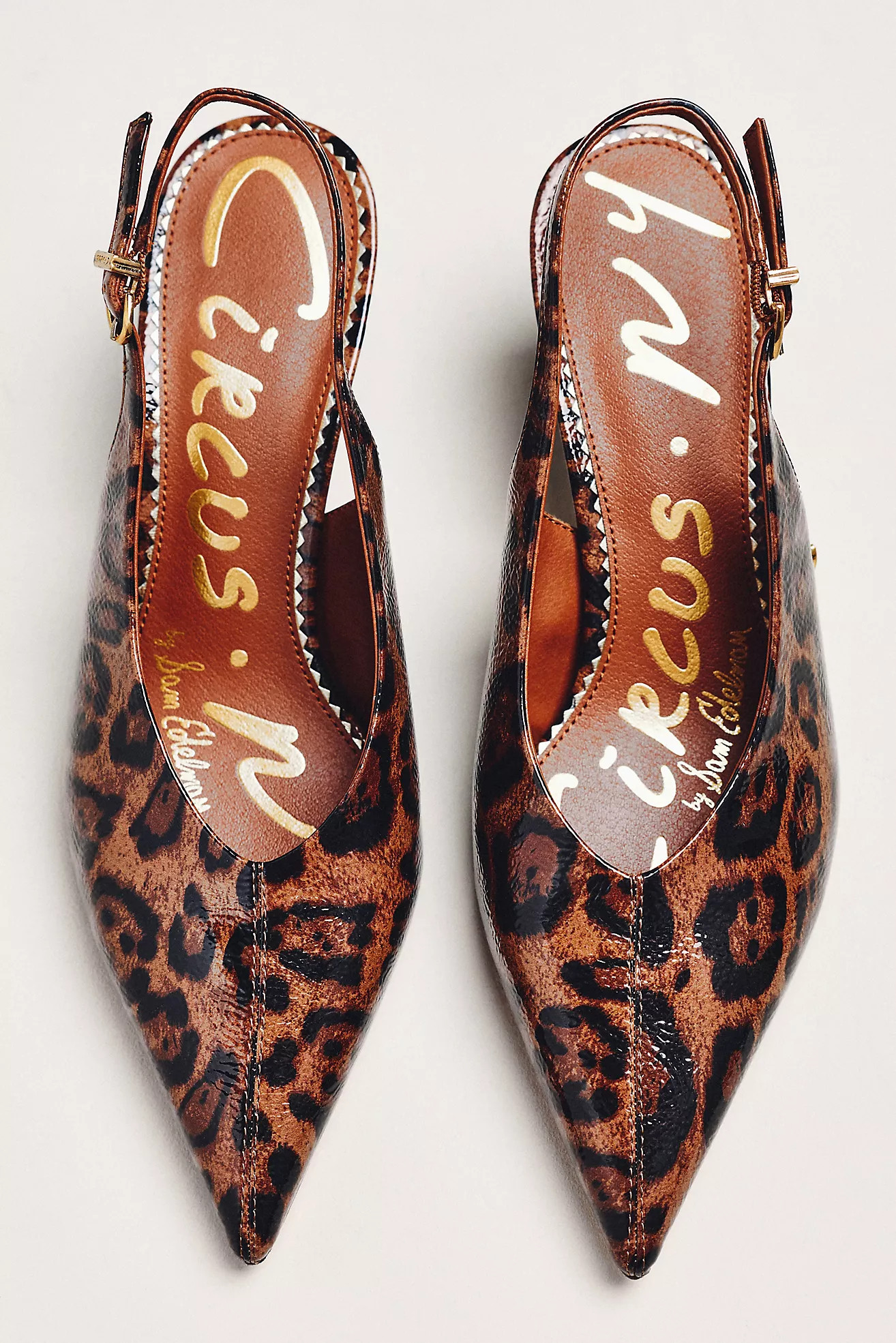 Circus NY by Sam Edelman Fawn Slingback Pumps | Anthropologie (US)
