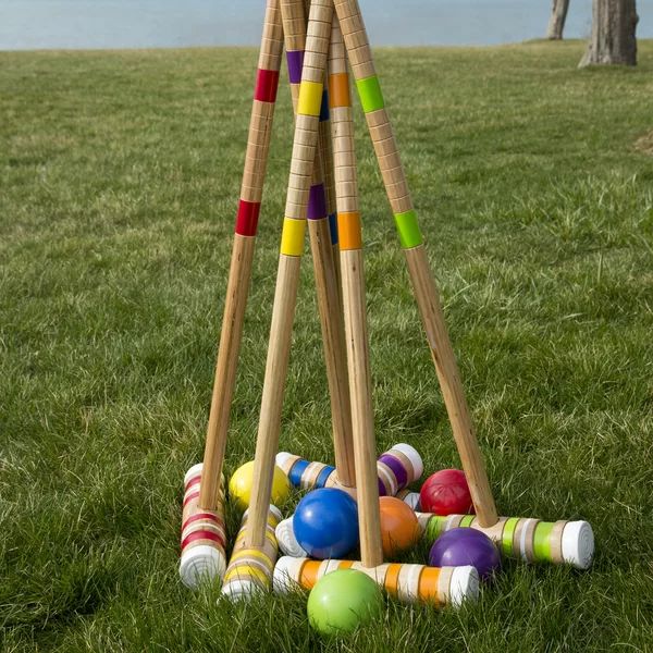 6 Player Croquet Set with Carrying Case | Wayfair North America