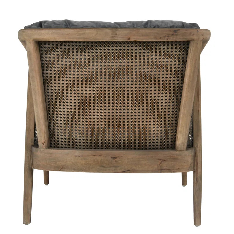 Velvet Armchair | Wayfair North America