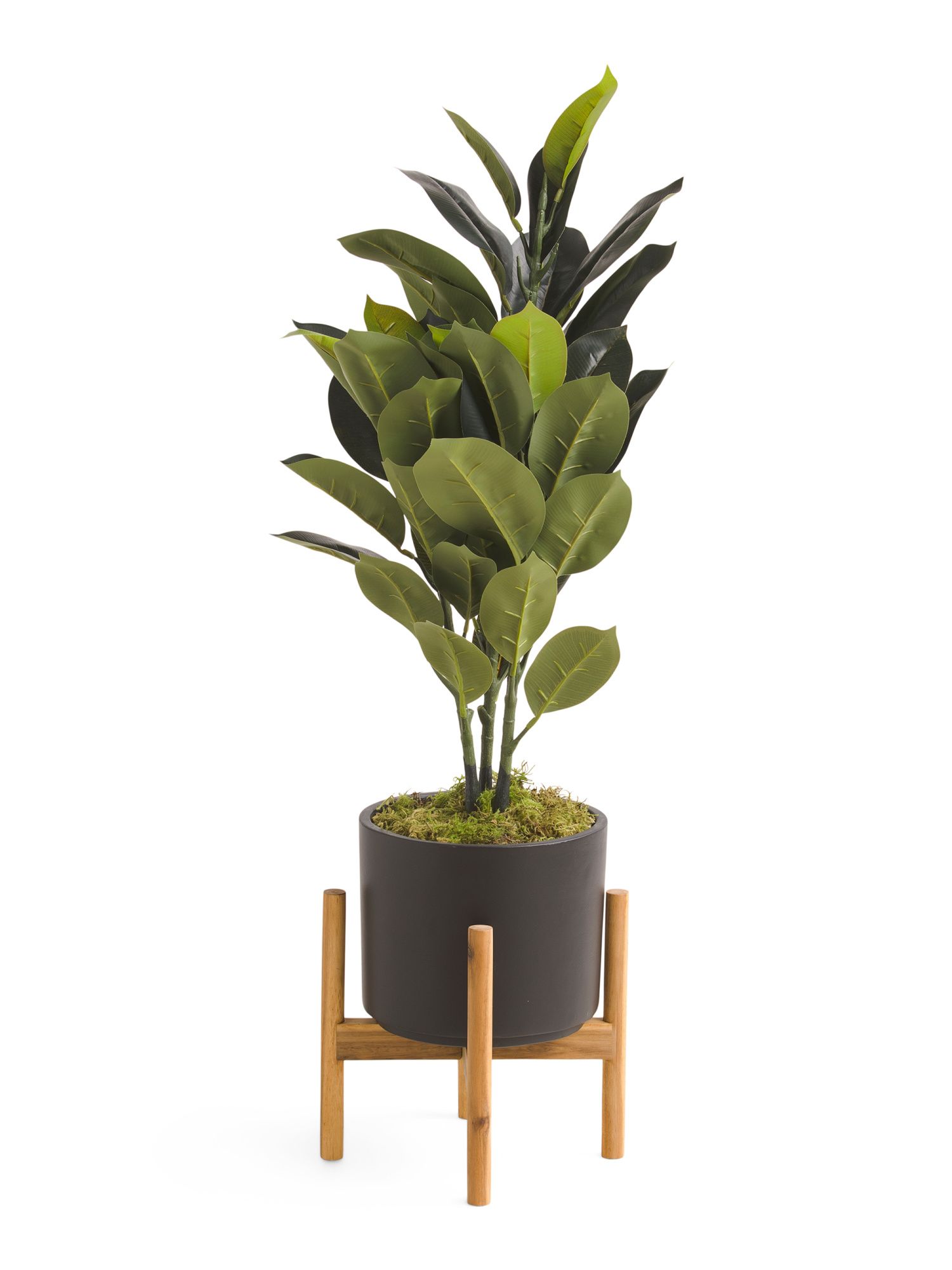 3ft Rubber Plant On Stand | TJ Maxx