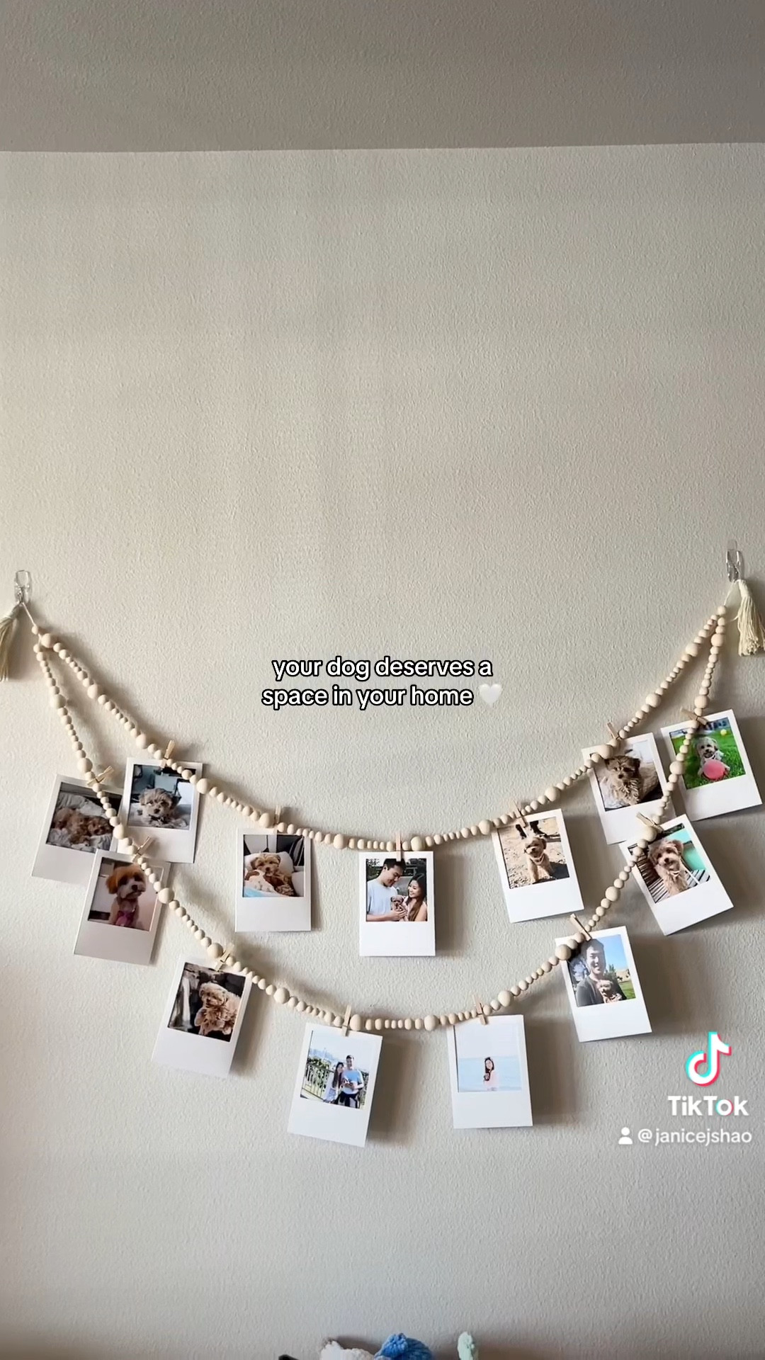 Photo Display Banner for my Dog’s First Birthday!

#LTKHome #LTKFindsUnder100 #LTKParties