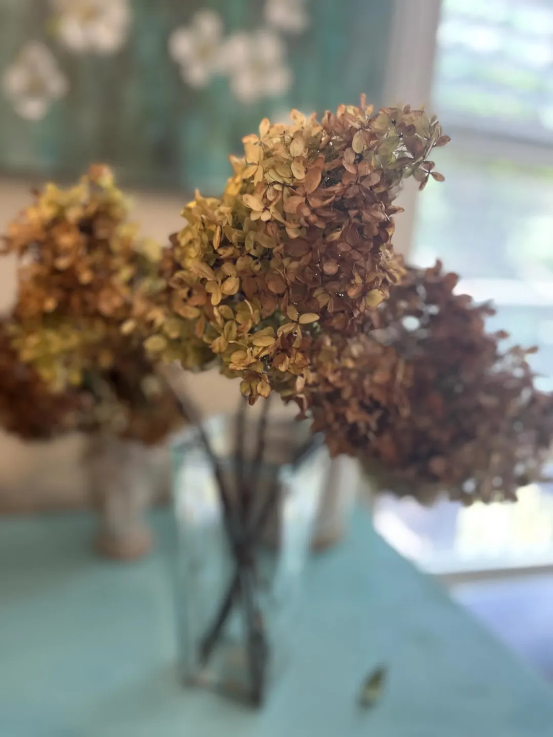Five dried Beige & Green limelight hydrangeas with long stems | Etsy (Global)