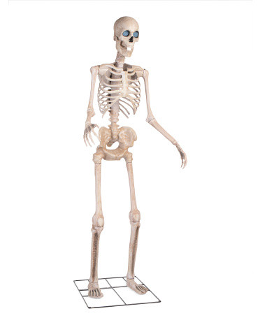 8ft Outdoor Animated Glow In The Dark Talking Skeleton | TJ Maxx