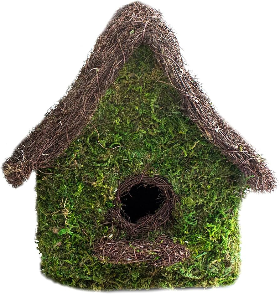SuperMoss (56052) Maison Woven Birdhouse Medium, 9.5" by 10.5", Fresh Green | Amazon (US)