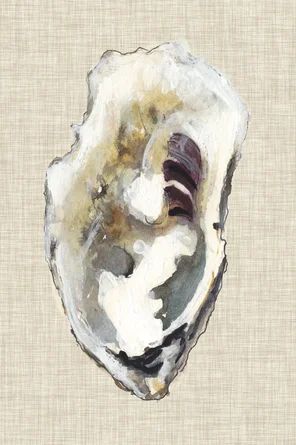 Breakwater Bay Oyster Shell Study I by Michael Willett - Painting Print on Canvas | Wayfair North America