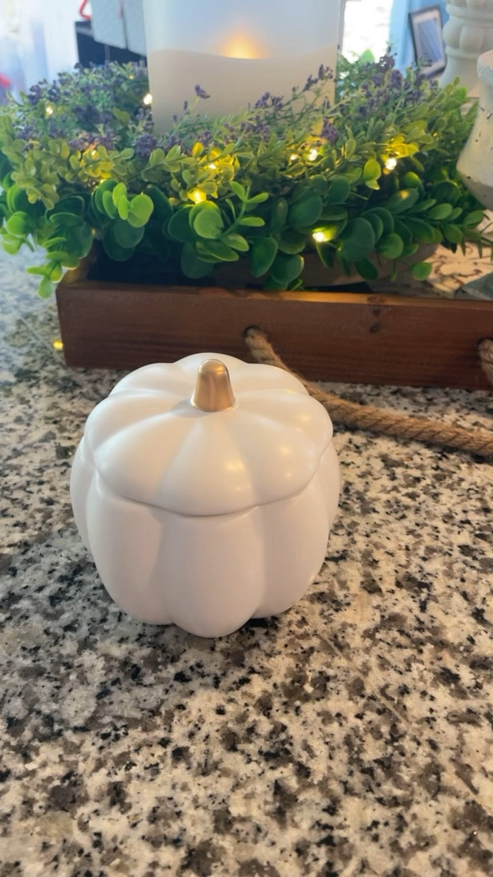 Fall Finds

#LTKSeasonal #LTKHome