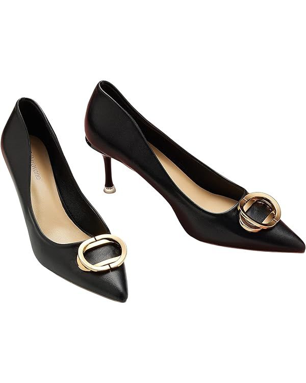 C.Paravano Women's Pumps Shoes I Heels for Women I Womens Designer Pumps I Stiletto Heels I Elega... | Amazon (US)