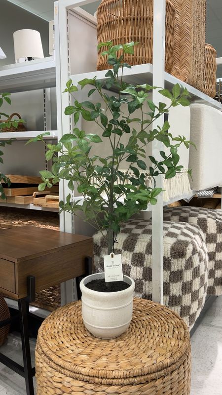NEW!! Prettiest mini potted gypsophila tree from Hearth and Hand at Target. 

#springdecor #homedecor #affordabledecor

Mini potted tree, mini tree, faux tree, artificial tree, potted tree, spring stems, target home, target decor, 

#LTKSpringSale #LTKVideo #LTKhome