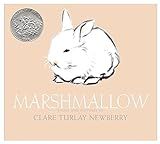 Marshmallow     Hardcover – Picture Book, January 8, 2008 | Amazon (US)