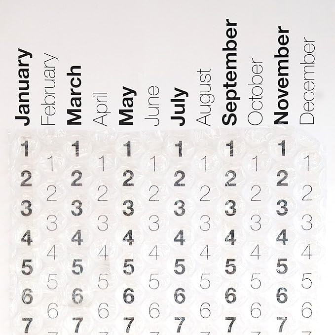 2022 Bubble Wrap® Calendar - A Poster Sized Wall Calendar with a Bubble to Pop Everyday | Amazon (US)