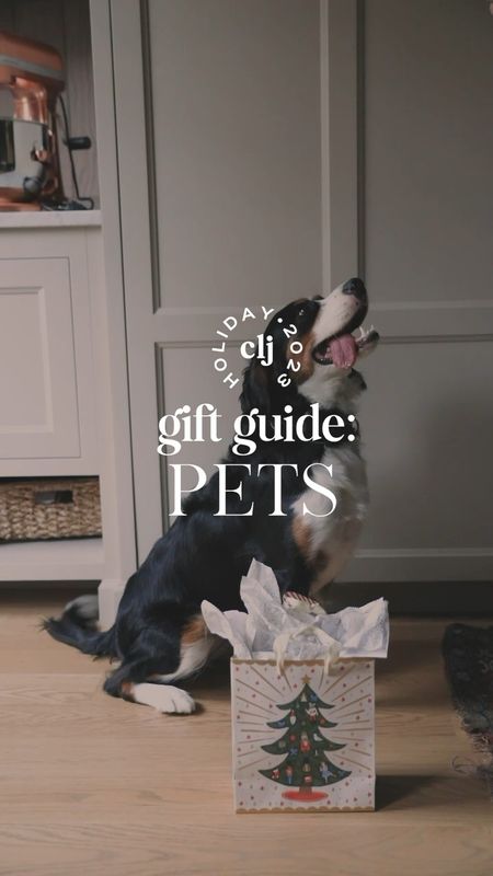 Gift Guide: Pets

#LTKGiftGuide #LTKSeasonal #LTKHoliday